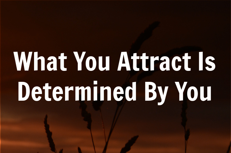 what you attract