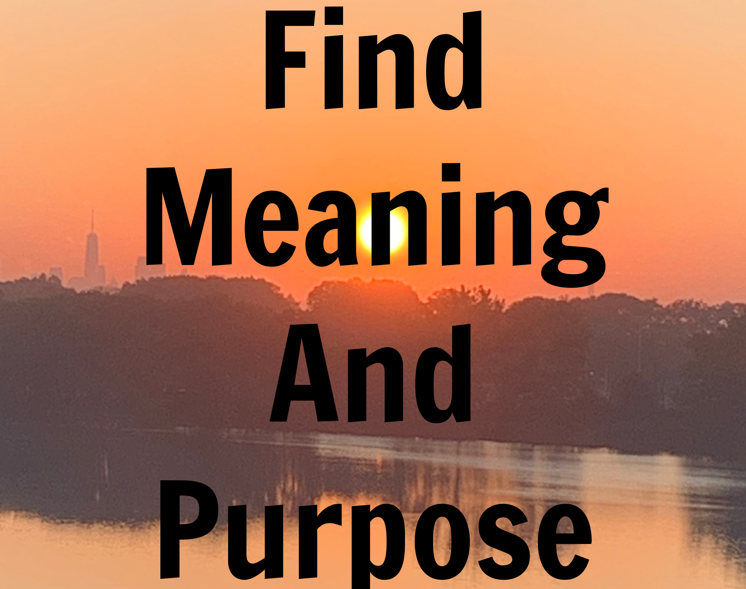 find meaning and purpose